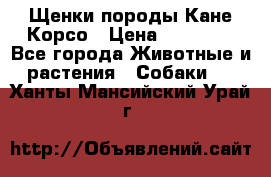 Щенки породы Кане-Корсо › Цена ­ 25 000 - Все города Животные и растения » Собаки   . Ханты-Мансийский,Урай г.